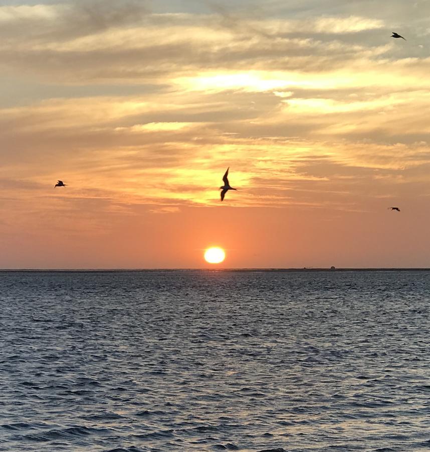 Lala Lodge Pemba Zanzibar Mgini Eksteriør billede